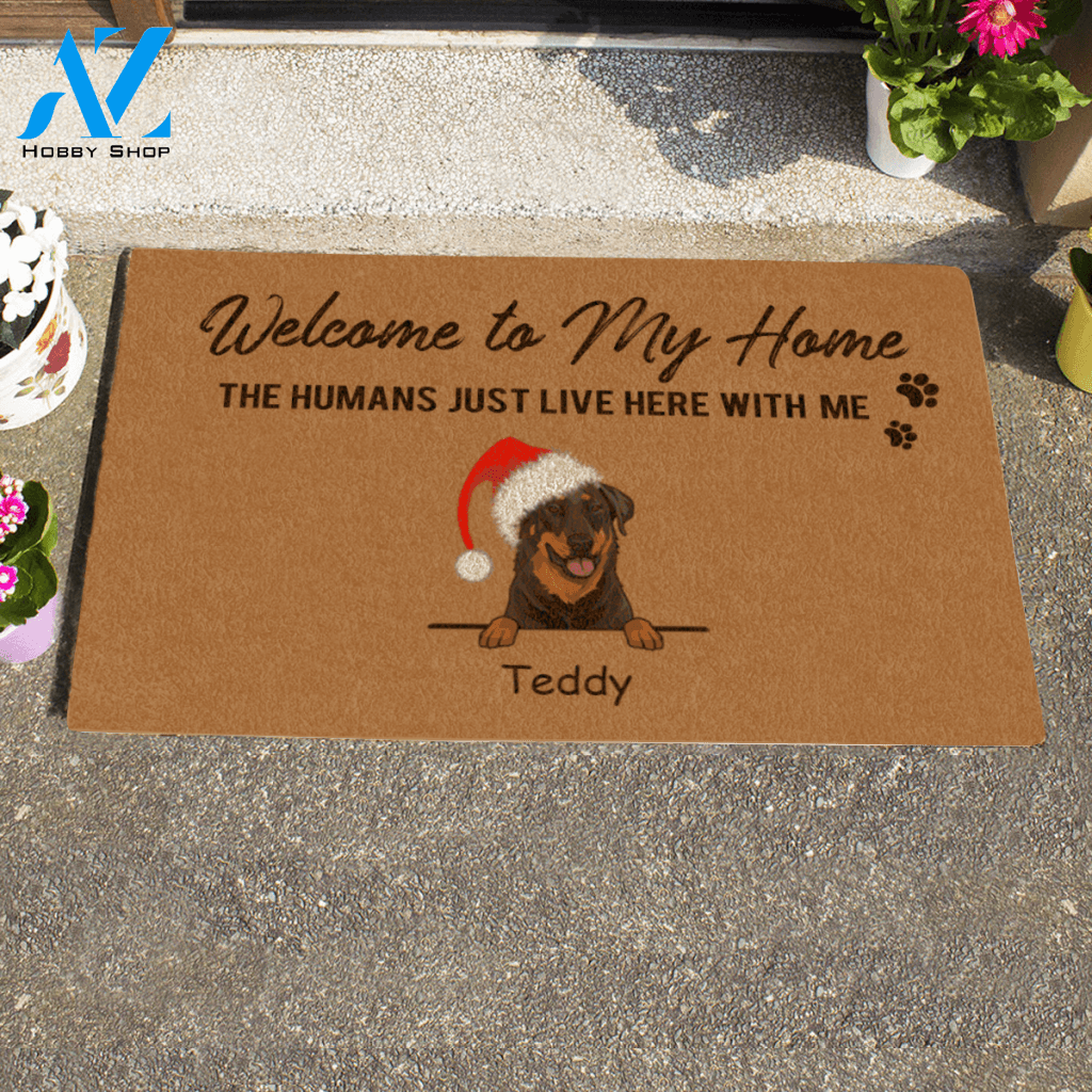 Cute Dog And Cat, Christmas Welcome To My Home The Humans Just Live Here With Me, Personalized Doormat HQ