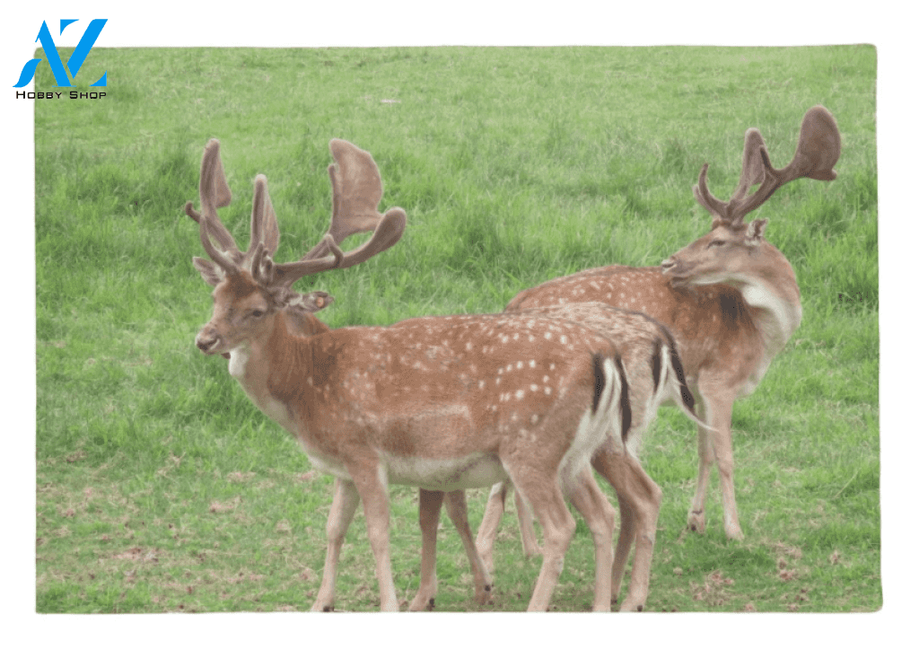 Deera in the Field Doormat Indoor and Outdoor Mat Entrance Rug Sweet Home Decor Housewarming Gift Gift for Deer Lovers Wildlife Animals Lovers