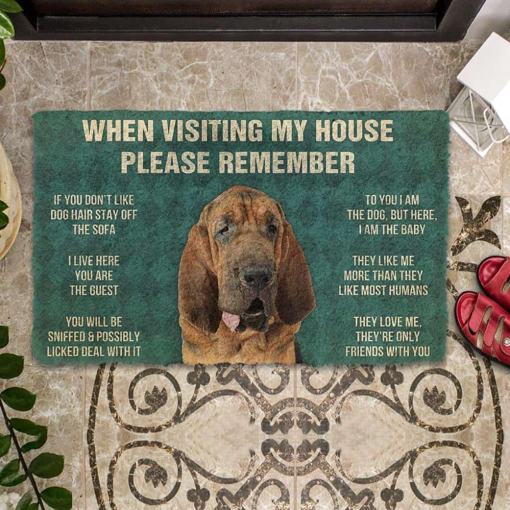 Dog Doormat 3D Please Remember Bloodhound Dogs House Rules Custom Doormat