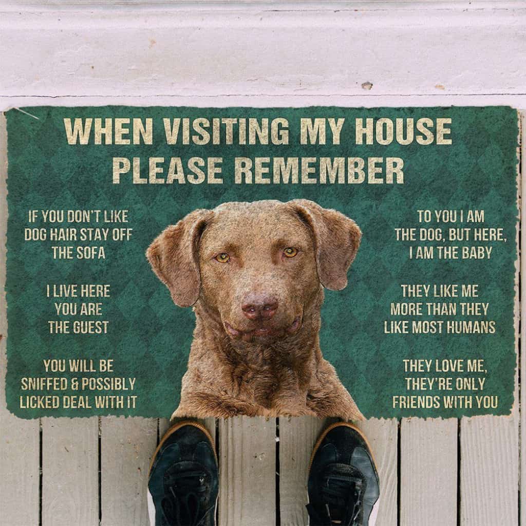 Dog Doormat 3D Please Remember Chesapeake Bay Retriever Dogs House Rules Custom Doormat