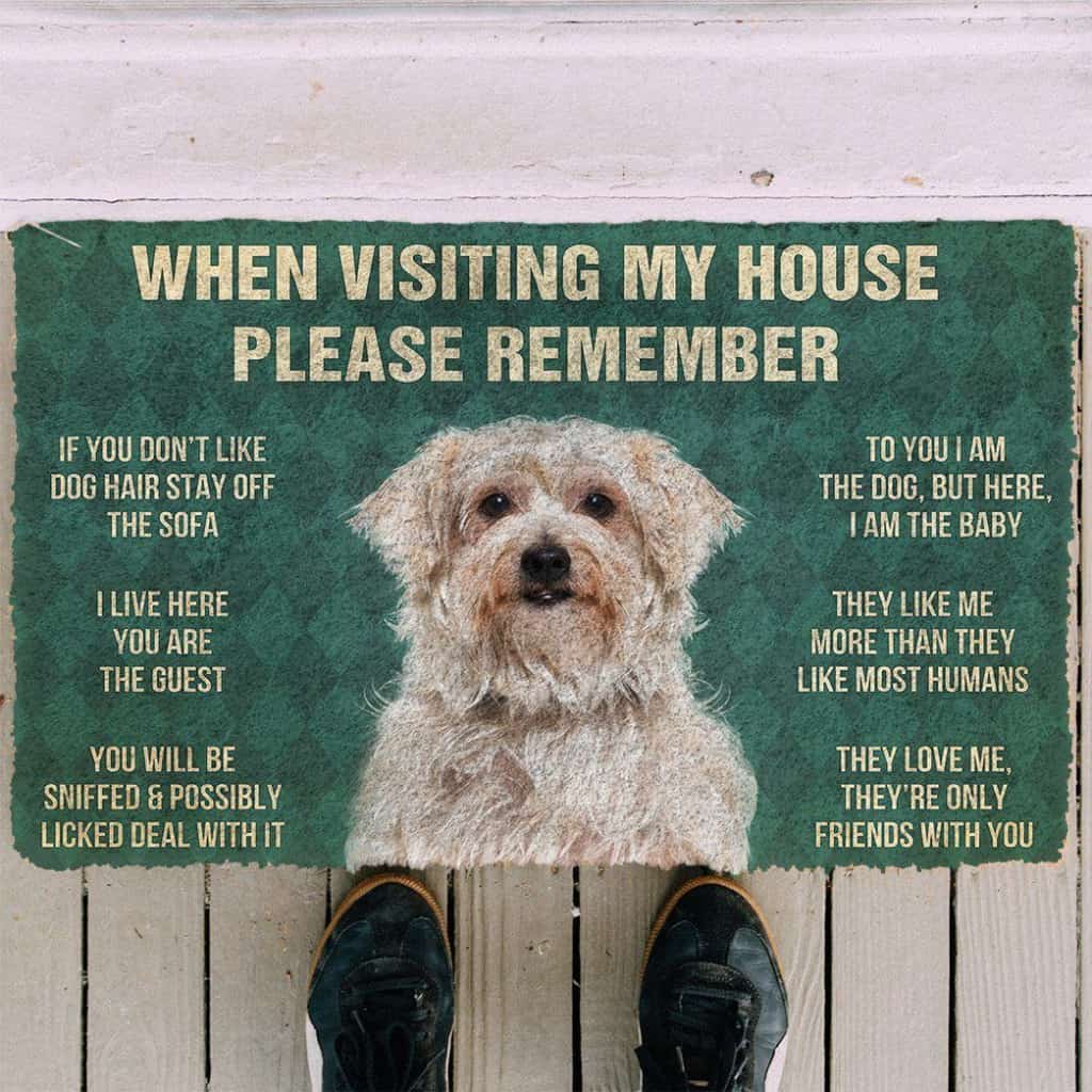 Dog Doormat 3D Please Remember Dandie Dinmont Terrier Dogs House Rules Doormat