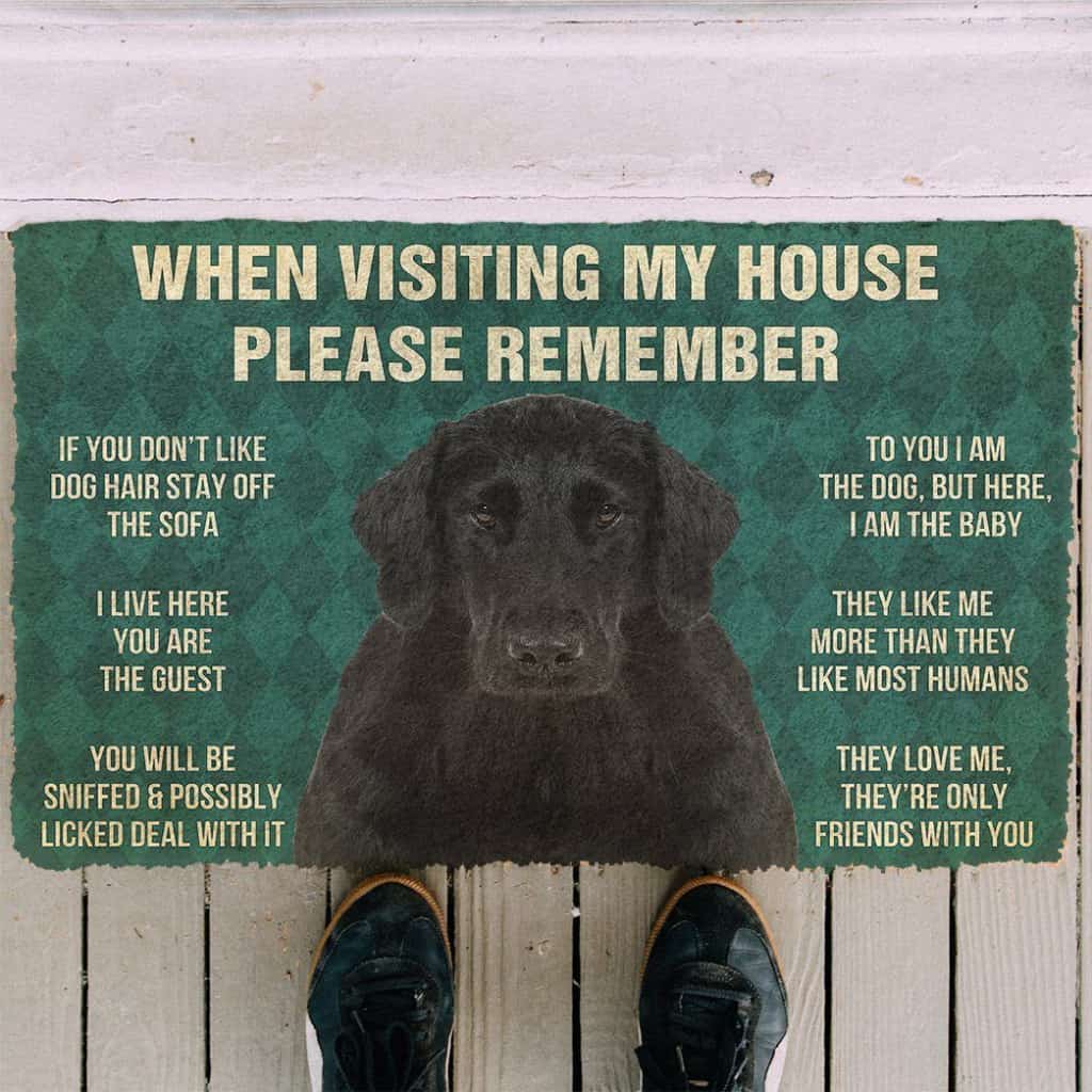 Dog Doormat 3D Please Remember Flat Coated Retriever Dogs House Rules Doormat