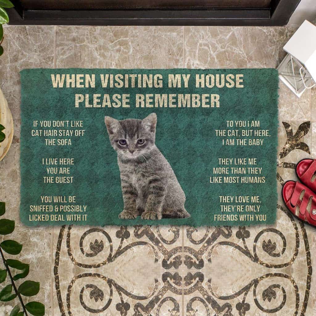 Dog Doormat 3D Please Remember Gray Tabby Kitten Cats House Rules Custom Doormat