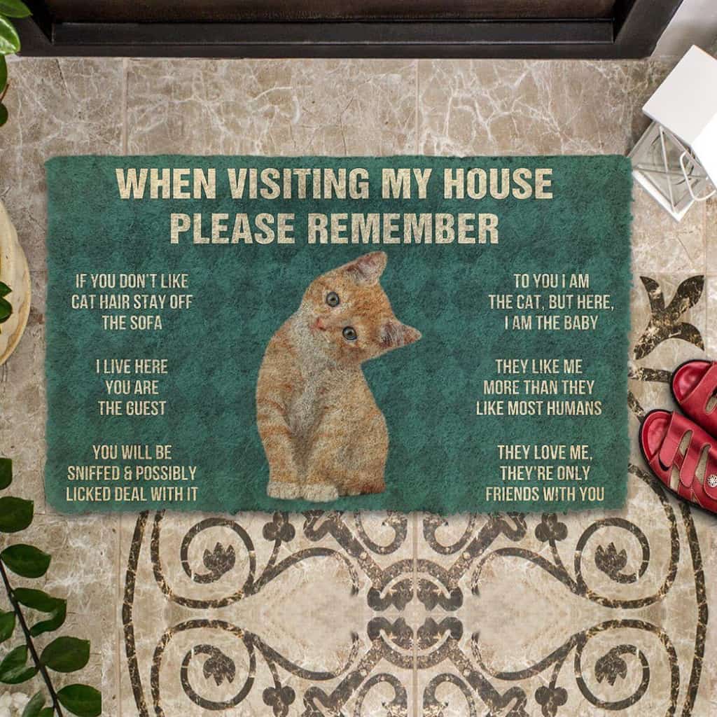 Dog Doormat 3D Please Remember Orange Tabby Kitten Cats House Rules Custom Doormat