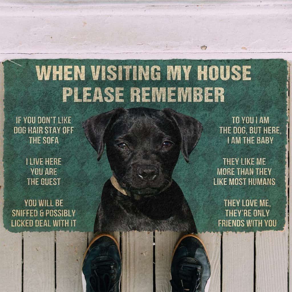 Dog Doormat 3D Please Remember Patterdale Terrier Dogs House Rules Doormat