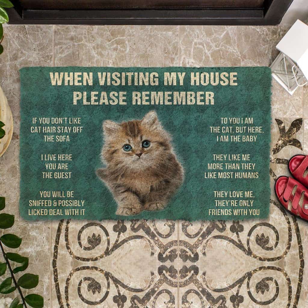 Dog Doormat 3D Please Remember Siberian Maine Kitten Cats House Rules Custom Doormat