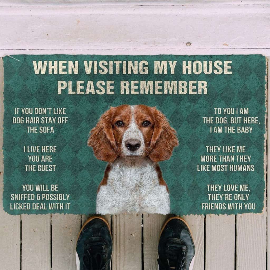Dog Doormat 3D Please Remember Welsh Springer Spaniel Dogs House Rules Doormat