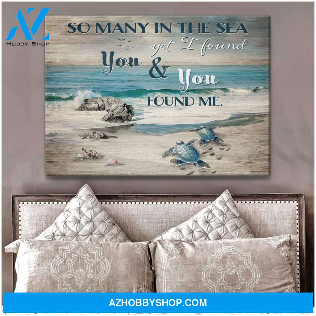 Found Me Turtle Wall Art Canvas