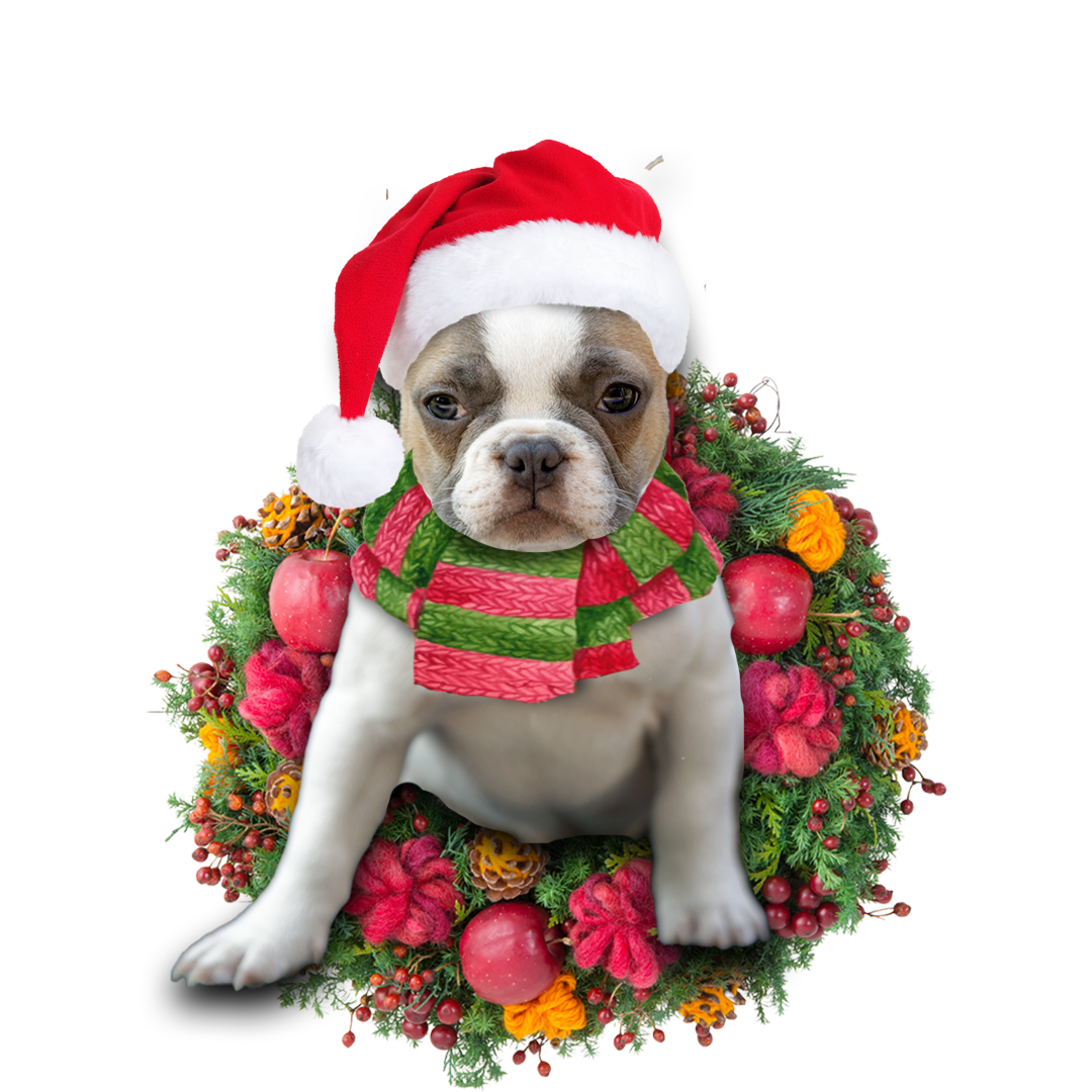 Godmerch- Ornament- French Bulldog Christmas Ornament, Happy Christmas Ornament, Car Ornament
