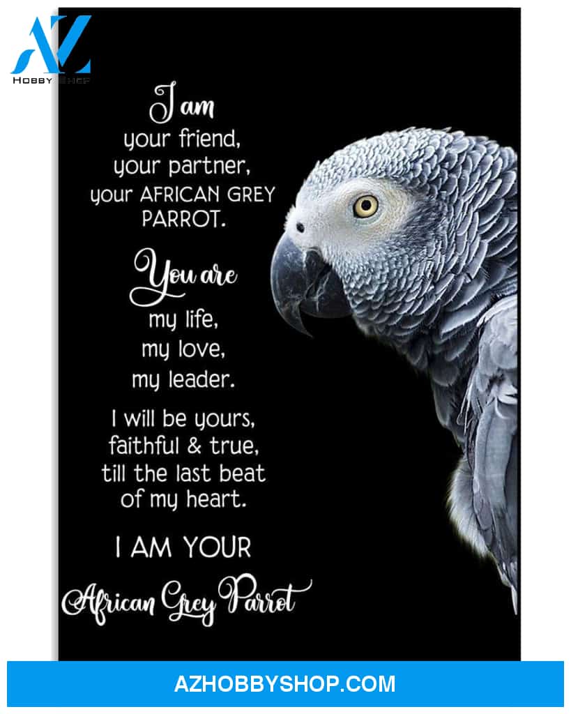 Im Yr Friend Yr Partner Your African Grey Parrot poster