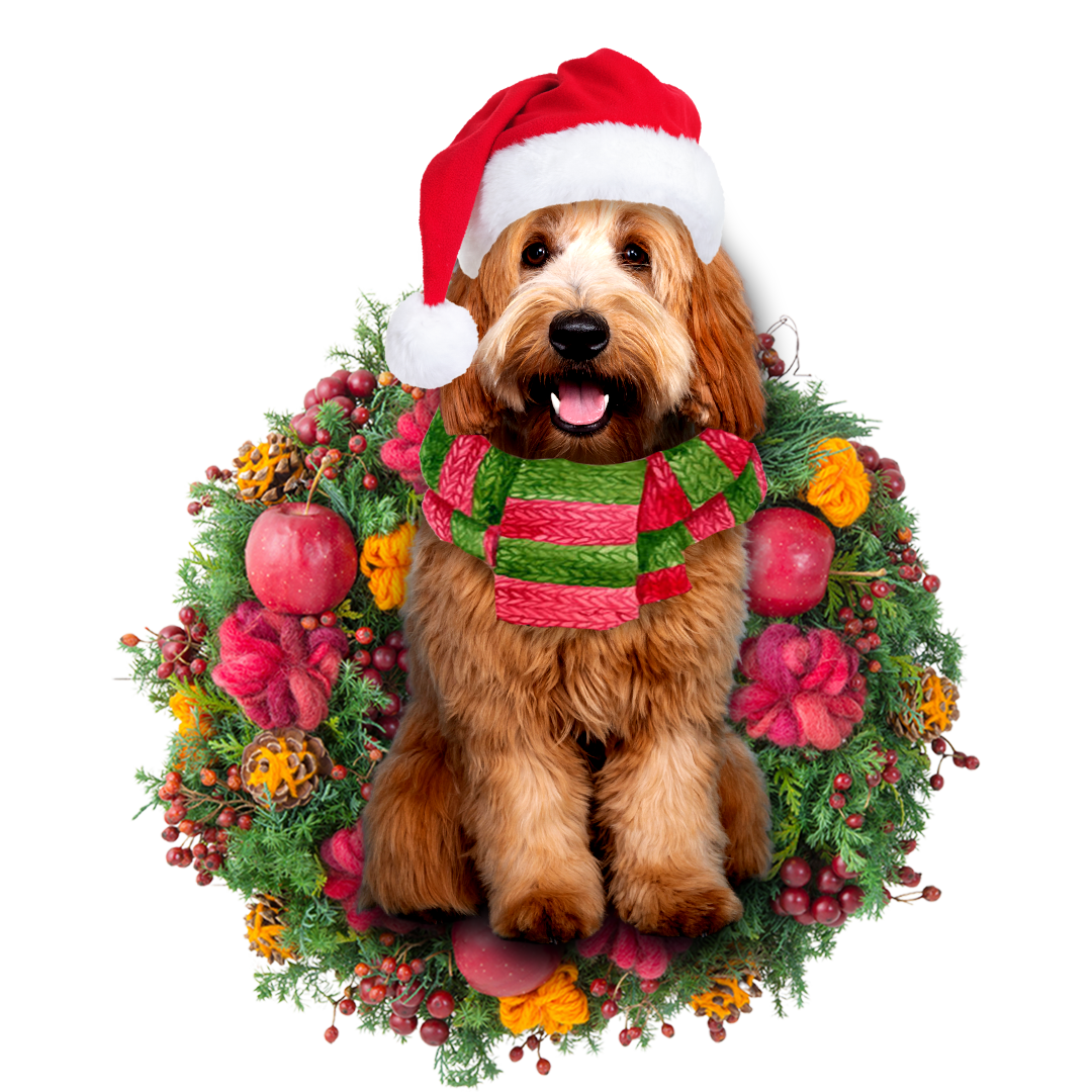 Godmerch- Ornament- Labradoodle Christmas Ornament, Happy Christmas Ornament, Car Ornament