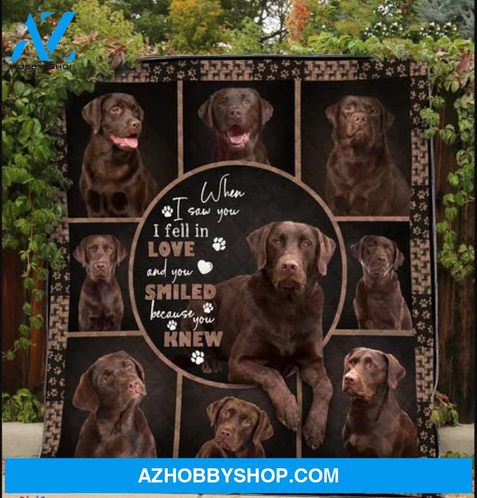 Labrador Blanket, When I Saw You I Fell In Love And You Smiled Because You Knew Chocolate Labrador Dog