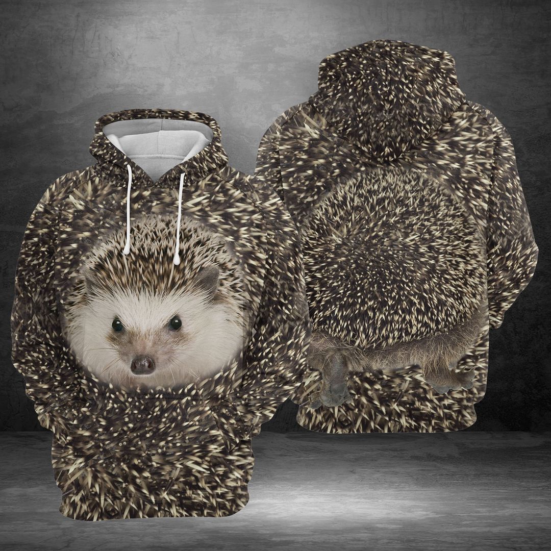 Funny Hedgehog Back And Front View Unique Unisex 3d Hoodie