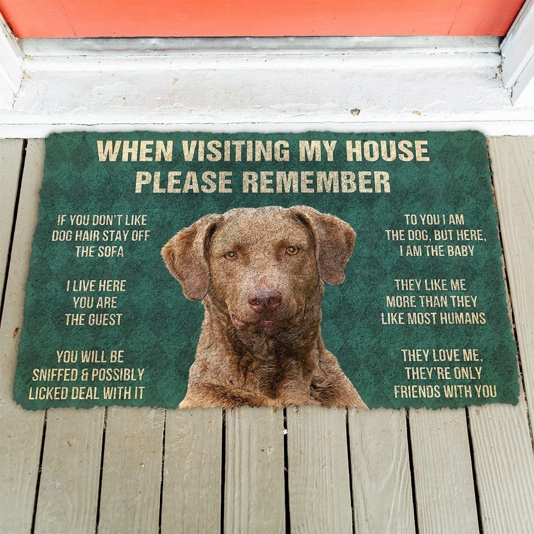 Chesapeake Bay Retriever House Rules Doormat | Colorful | Size 8x27'' 24x36''