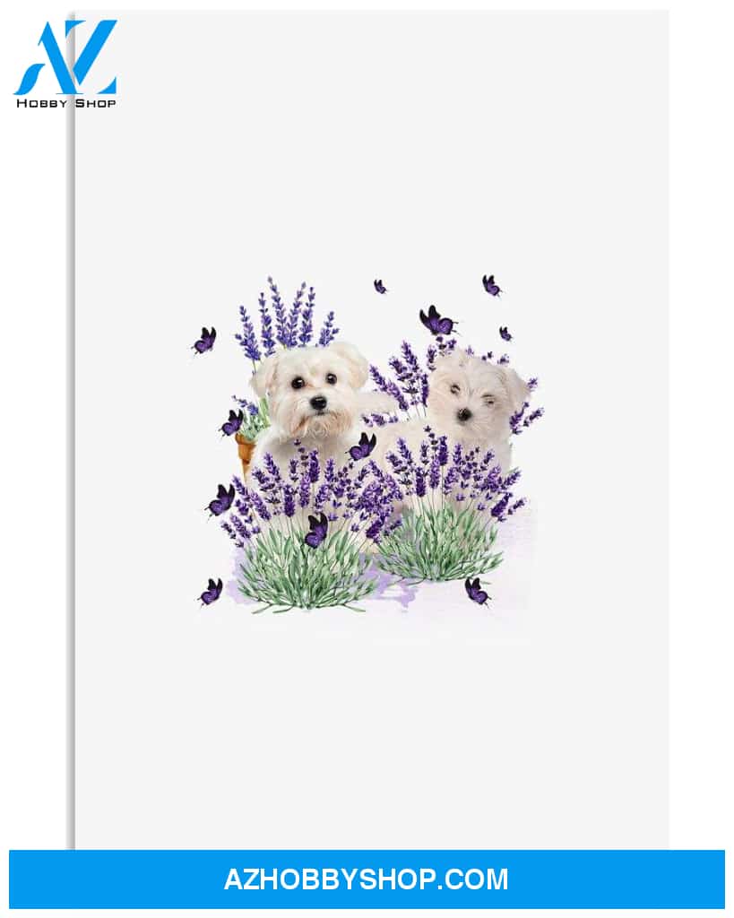 Maltese with lavender flower poster