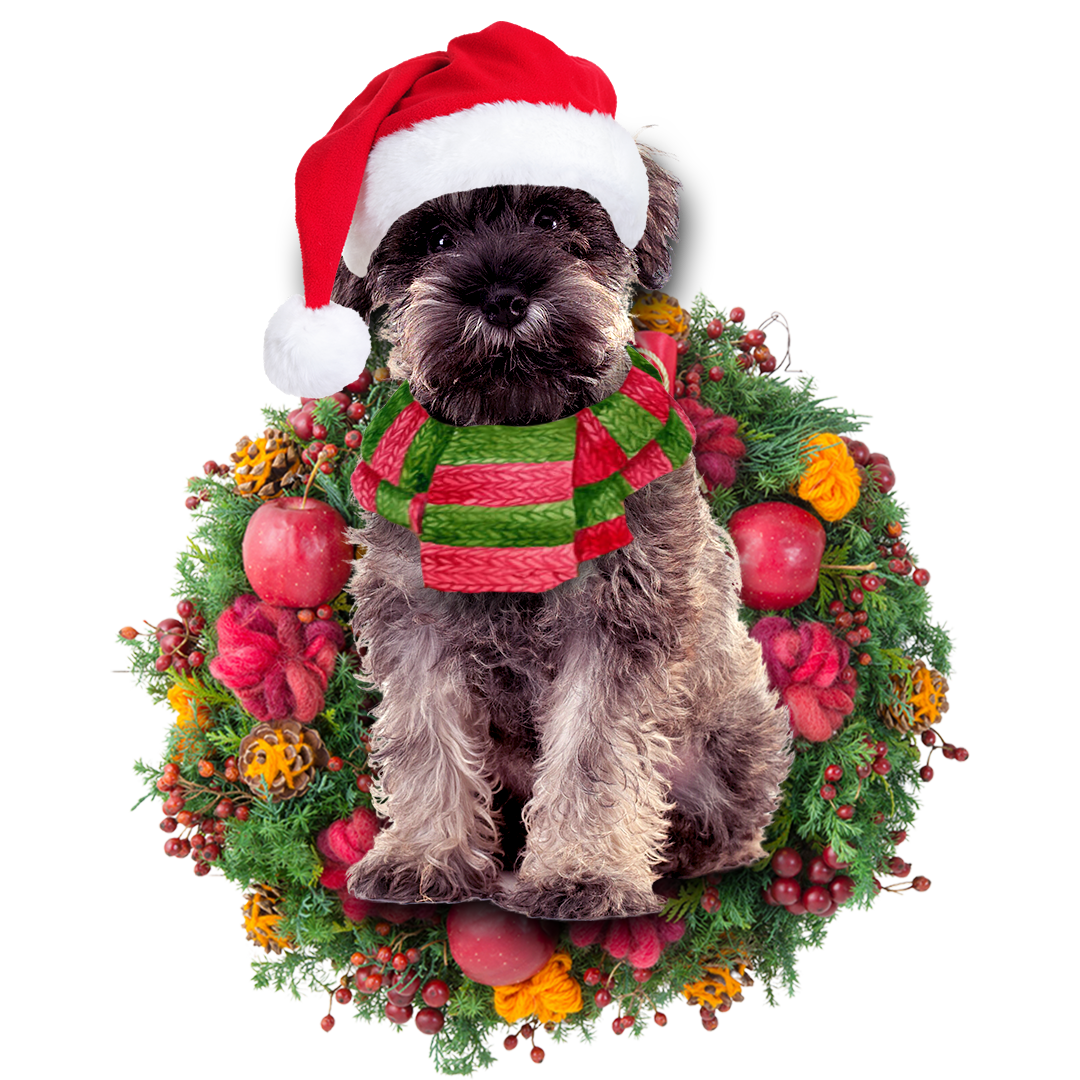 Godmerch- Ornament- Miniature Schnauzer Christmas Ornament, Happy Christmas Ornament, Car Ornament