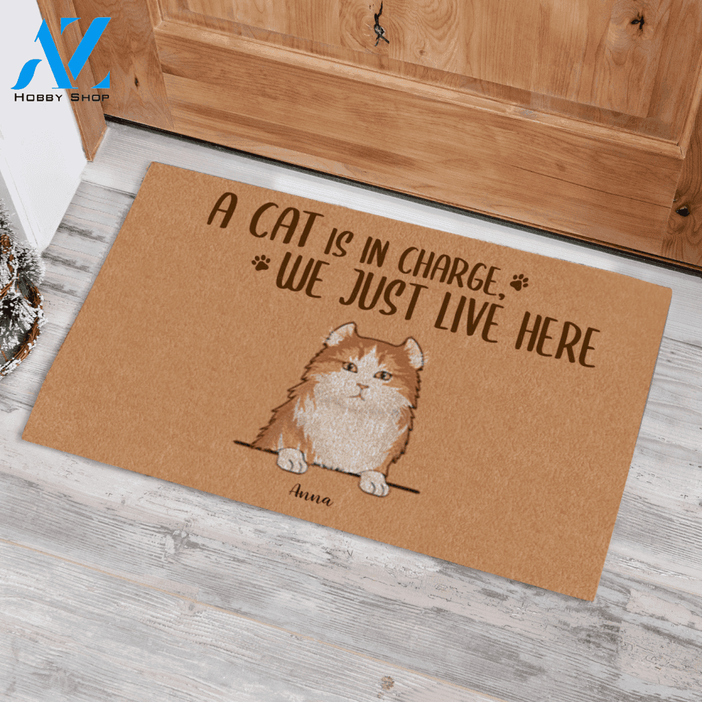 Naive Cat The Cats Are In Charge We Just Live Here Custom Name Pet Printed Doormat Home Decor
