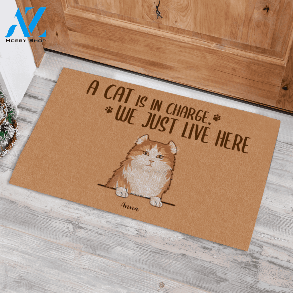 Naive Cat, The Cats Are In Charge We Just Live Here Personalized Doormat HQ