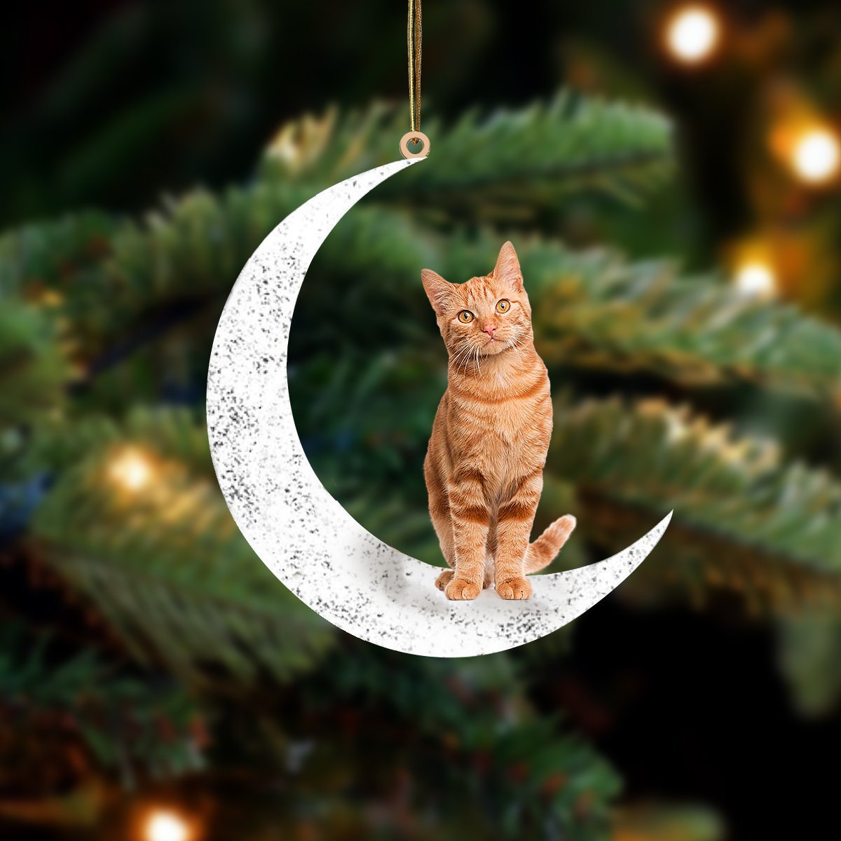 Orange Female Tabby Sit On The Moon Two Sided Ornament Dog Hanging Christmas Ornament