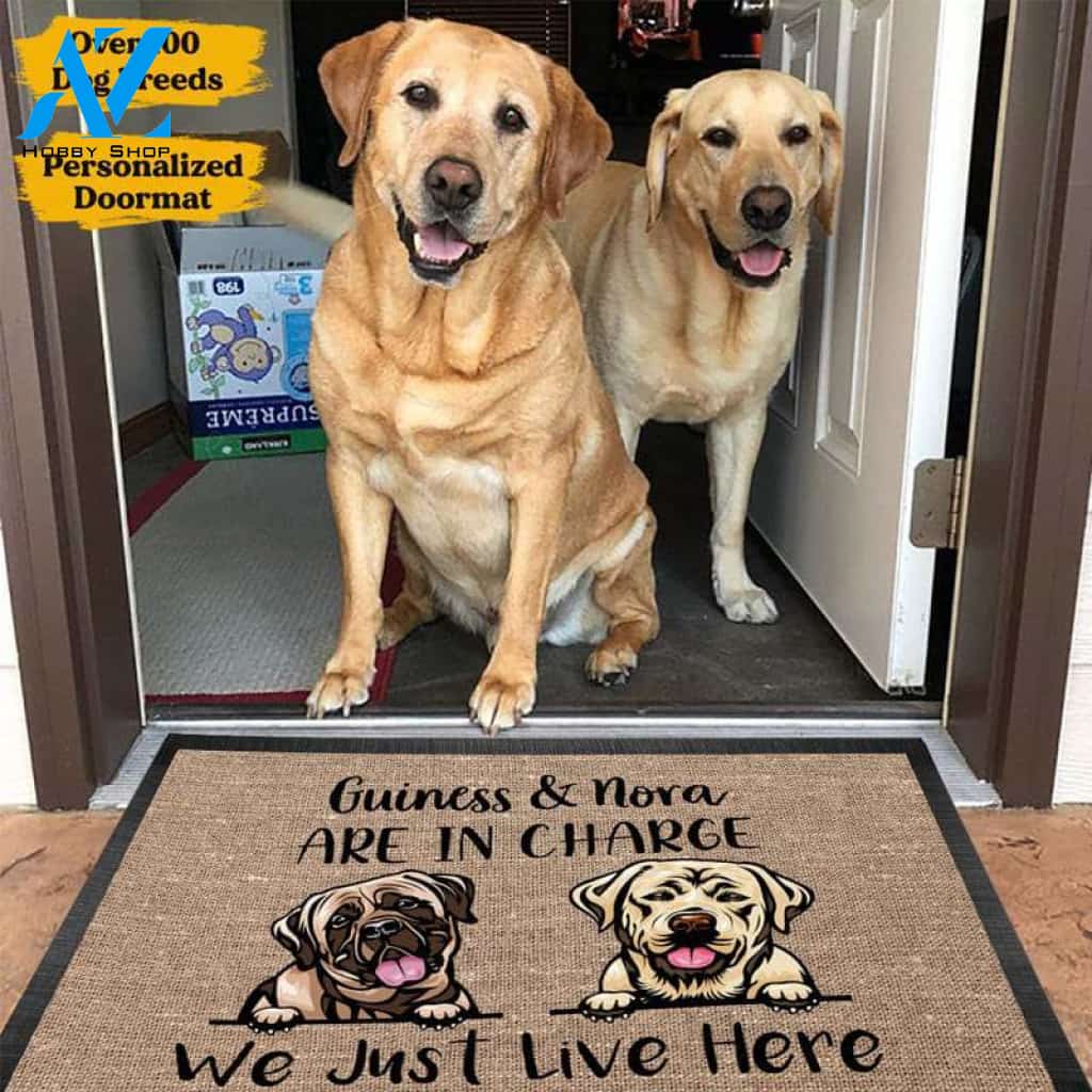 Personalized Dogs are in Charge We Just live here Doormat, Dog mat custom, Pawprints Doormat, dog doormat, dog gift, dog mat, custom dog - Dog mat custom