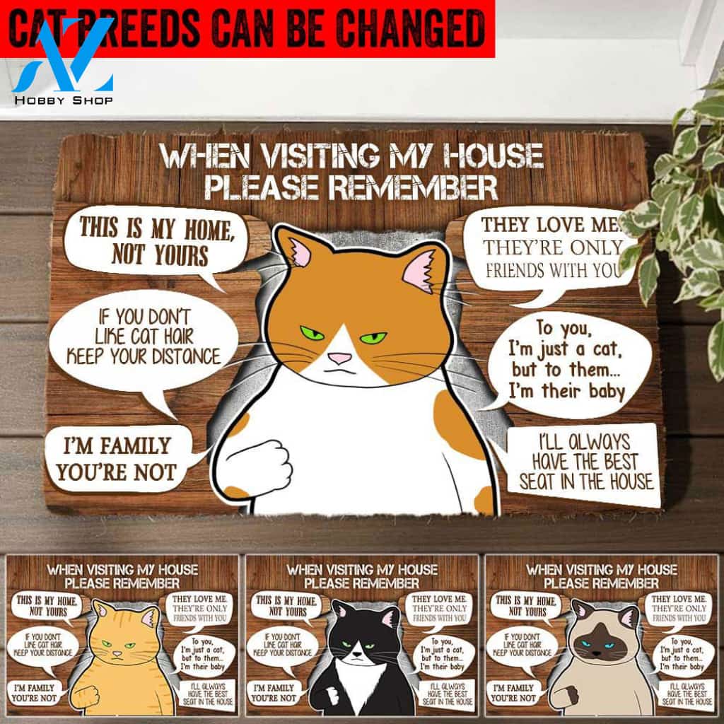 Personalized Funny Doormat When Visiting My House Please Remember Cat | Welcome Mat | House Warming Gift