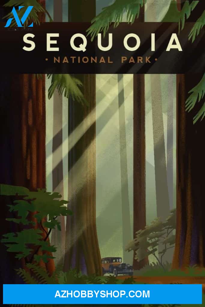 Sequoia National Park California Redwood Forest Geometric Lithograph