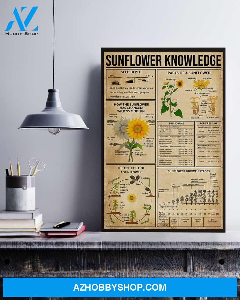 Sunflower Knowledge Canvas And Poster, Wall Decor Visual Art 1