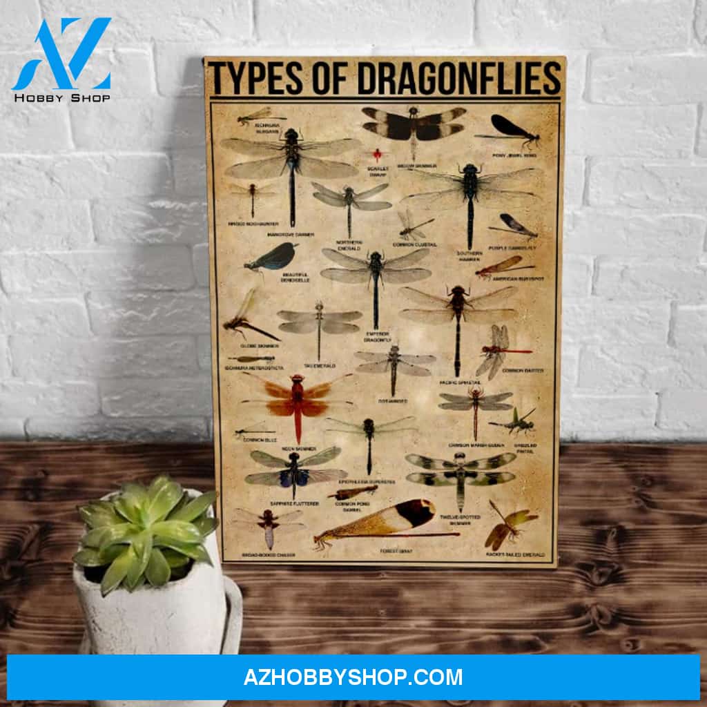 Types Of Dragonflies Matte Canvas
