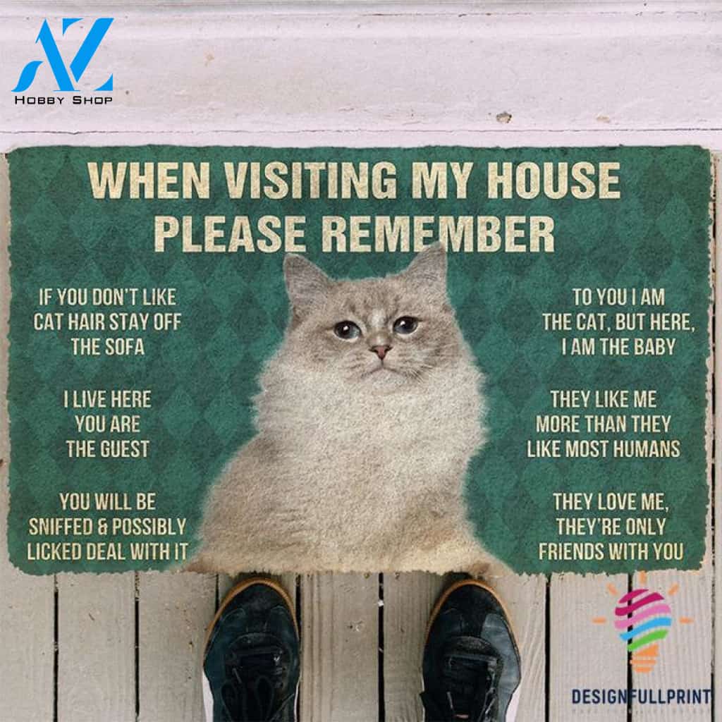 When Visiting My House Please Remember Cat Welcome Doormat NHD Gifts For Cat Owners