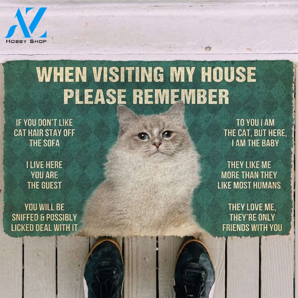 When Visiting My House Please Remember Indoor and Outdoor Doormat Warm House Gift Welcome Mat Gift for Labrador Lovers Birthday Gift