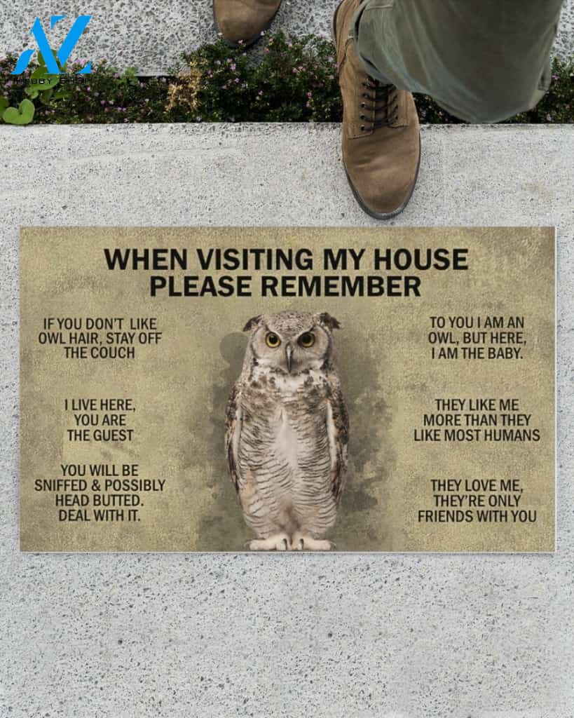 When Visiting My House Please Remember - Owl Indoor And Outdoor Doormat Gift For Owl Lovers Birthday Gift Decor Warm House Gift Welcome Mat
