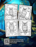 Night Owl 30 Pages Printable Coloring Book