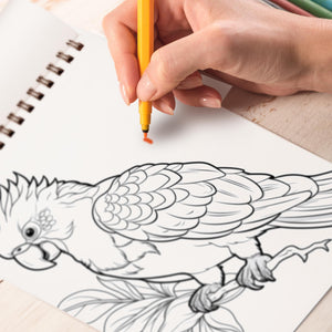 Mindful Crows And Parrots Spiral Bound Coloring Book: Parrots And Crows Design for Adult featuring Parrots and Crow To Color, Relieve Stress and Relaxing, Include different Designs Birds Coloring Book