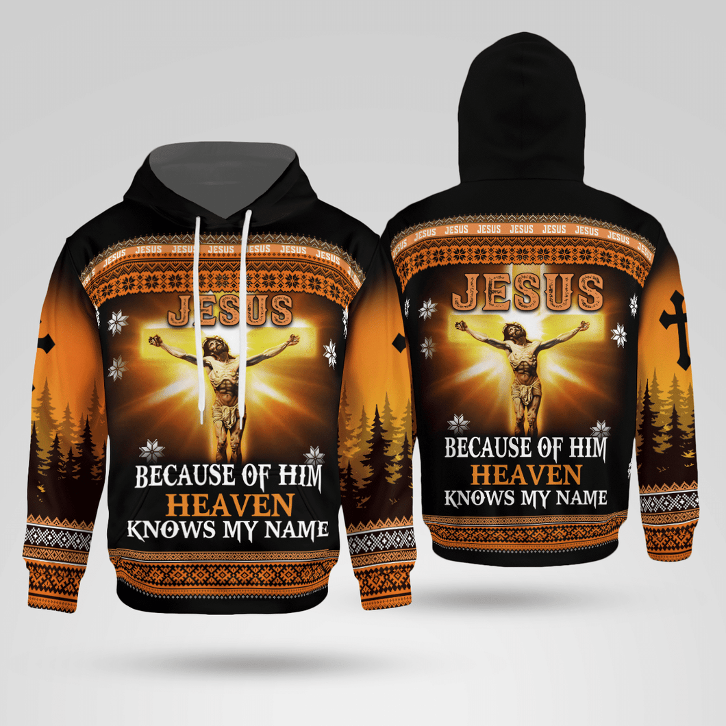 Jesus Because Of Him Christian - Christ - Jesus - God 3D All Over Print Unisex Hoodie US Size