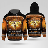 Jesus Because Of Him Christian - Christ - Jesus - God 3D All Over Print Unisex Hoodie US Size