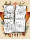 Botanical Bugs 30 Pages Printable Coloring Book