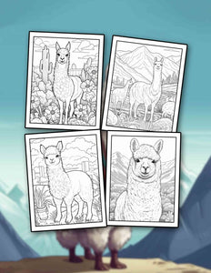 Llama 30 Pages Printable Coloring Book