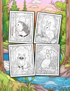 Animals In Woodland 30 Pages Printable Coloring Book