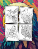 Birds Mandalas 30 Pages Printable Coloring Book