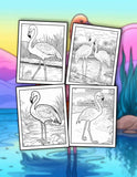 Flamingo 30 Pages Printable Coloring Book