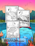 Flamingo 30 Pages Printable Coloring Book