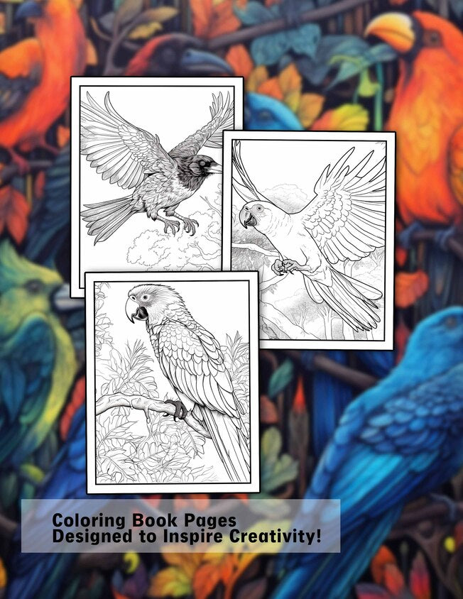 Mindful Crows And Parrots 30 Pages Printable Coloring Book