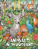 Animals In Woodland 30 Pages Printable Coloring Book