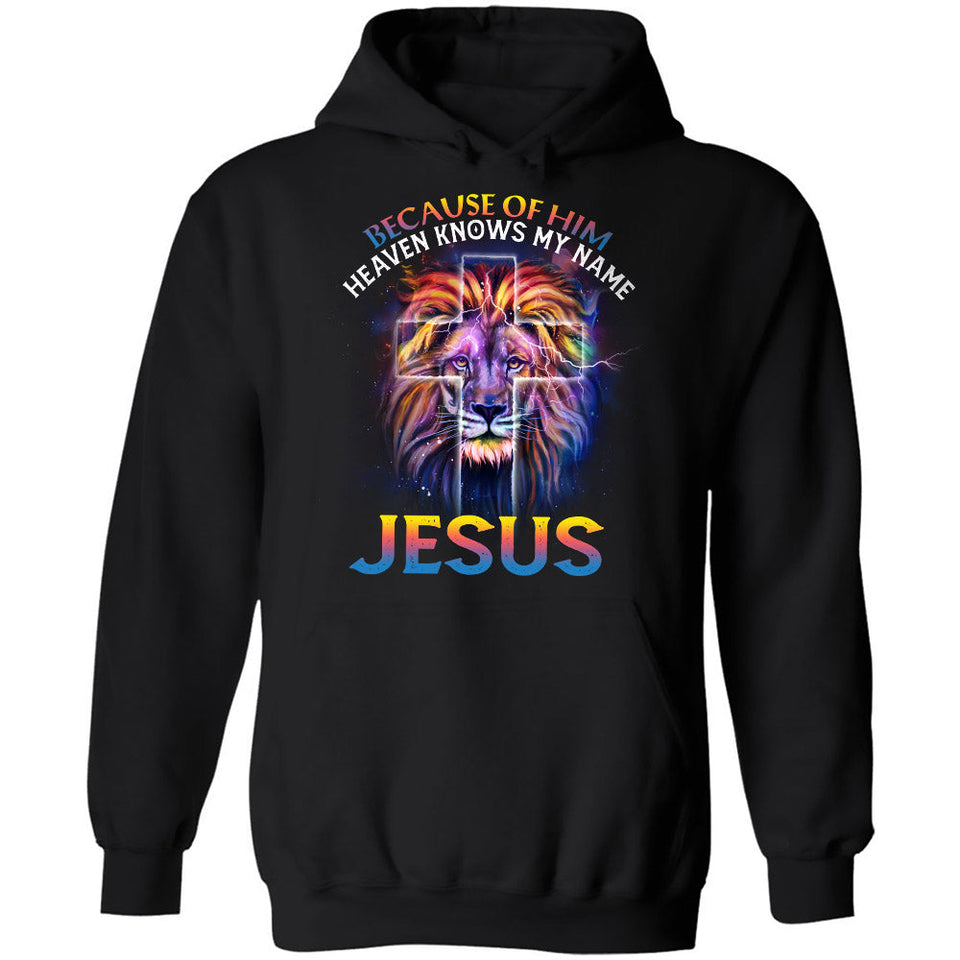 The lion of Judah, Awesome night sky, Because of him heaven knows my name - Jesus Apparel
