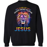 The lion of Judah, Awesome night sky, Because of him heaven knows my name - Jesus Apparel