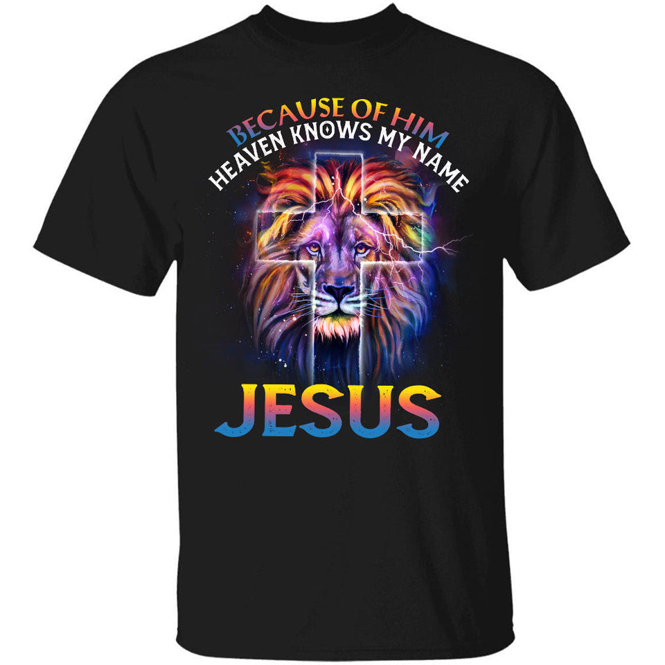 The lion of Judah, Awesome night sky, Because of him heaven knows my name - Jesus Apparel