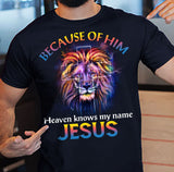 The lion of Judah, Awesome night sky, Because of him heaven knows my name - Jesus Apparel