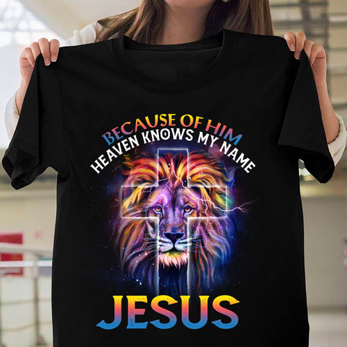 The lion of Judah, Awesome night sky, Because of him heaven knows my name - Jesus Apparel
