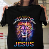 The lion of Judah, Awesome night sky, Because of him heaven knows my name - Jesus Apparel