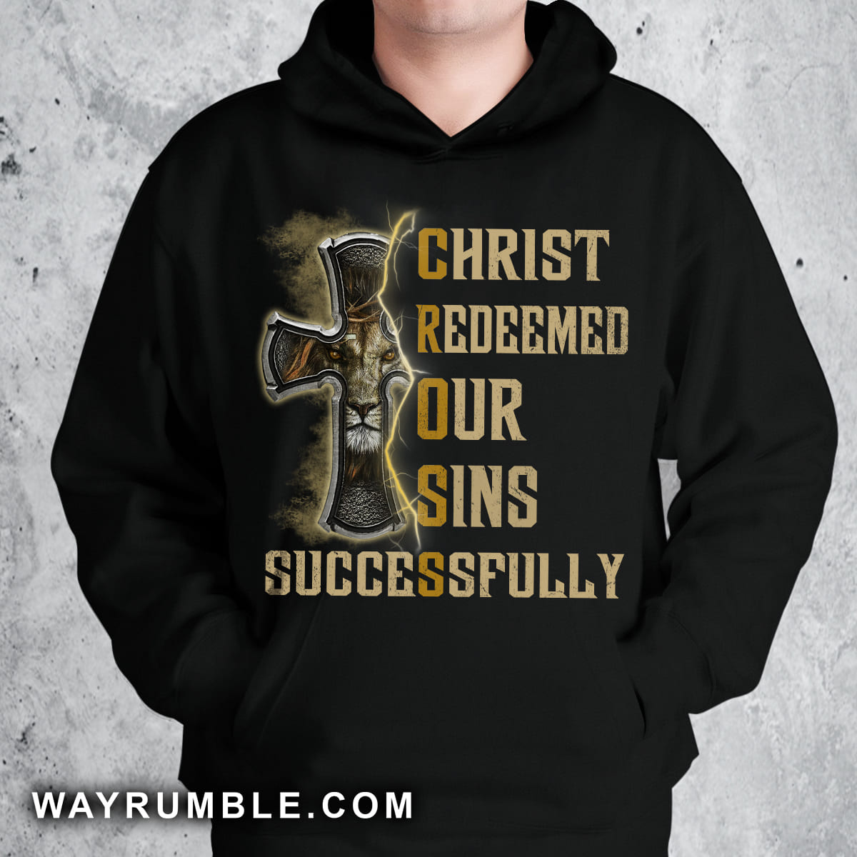 Beautiful cross, Lion painting, Christ redeemed our sins successfully - Jesus Apparel